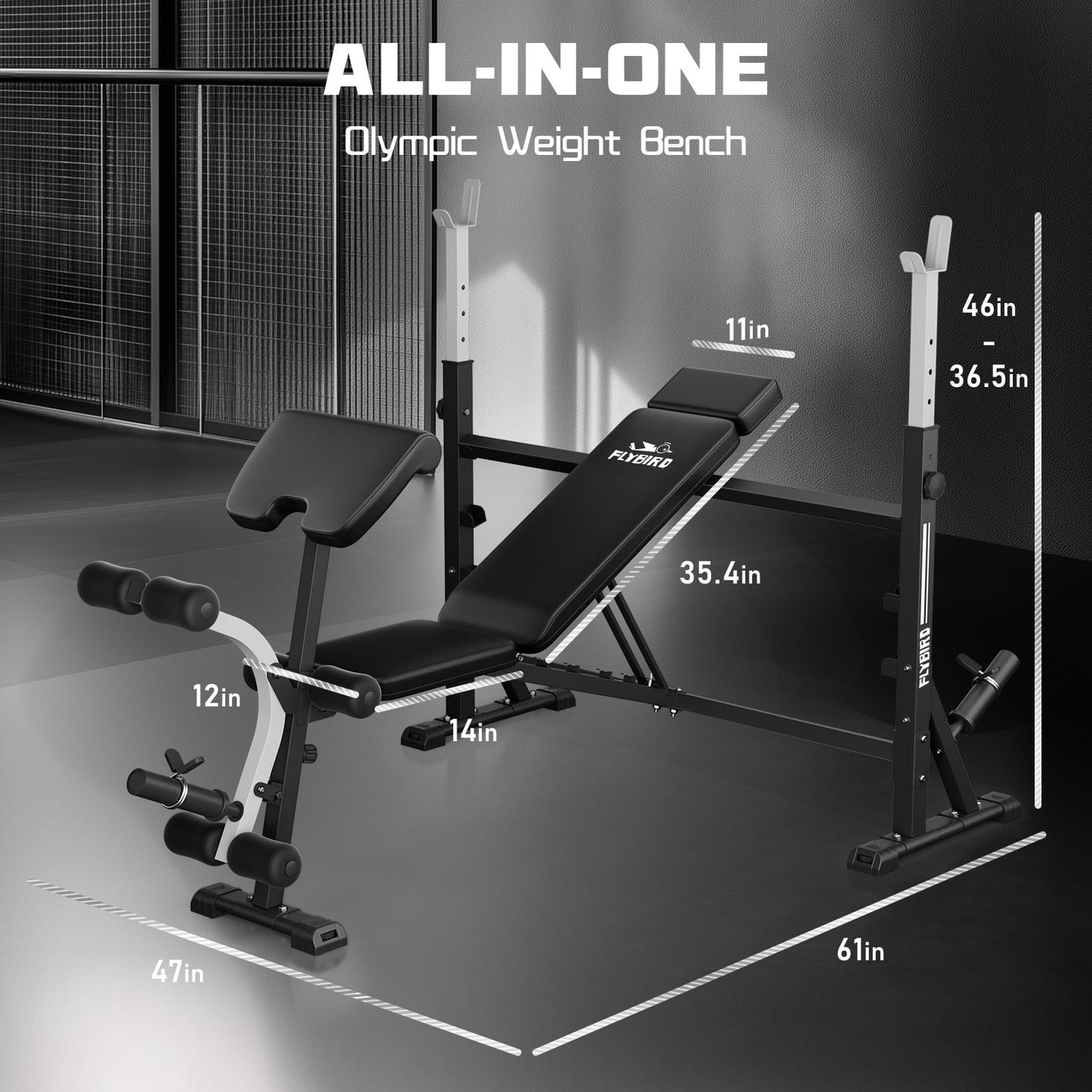 FLYBIRD Standard Weight Bench with Preacher Curl, Leg Developer
