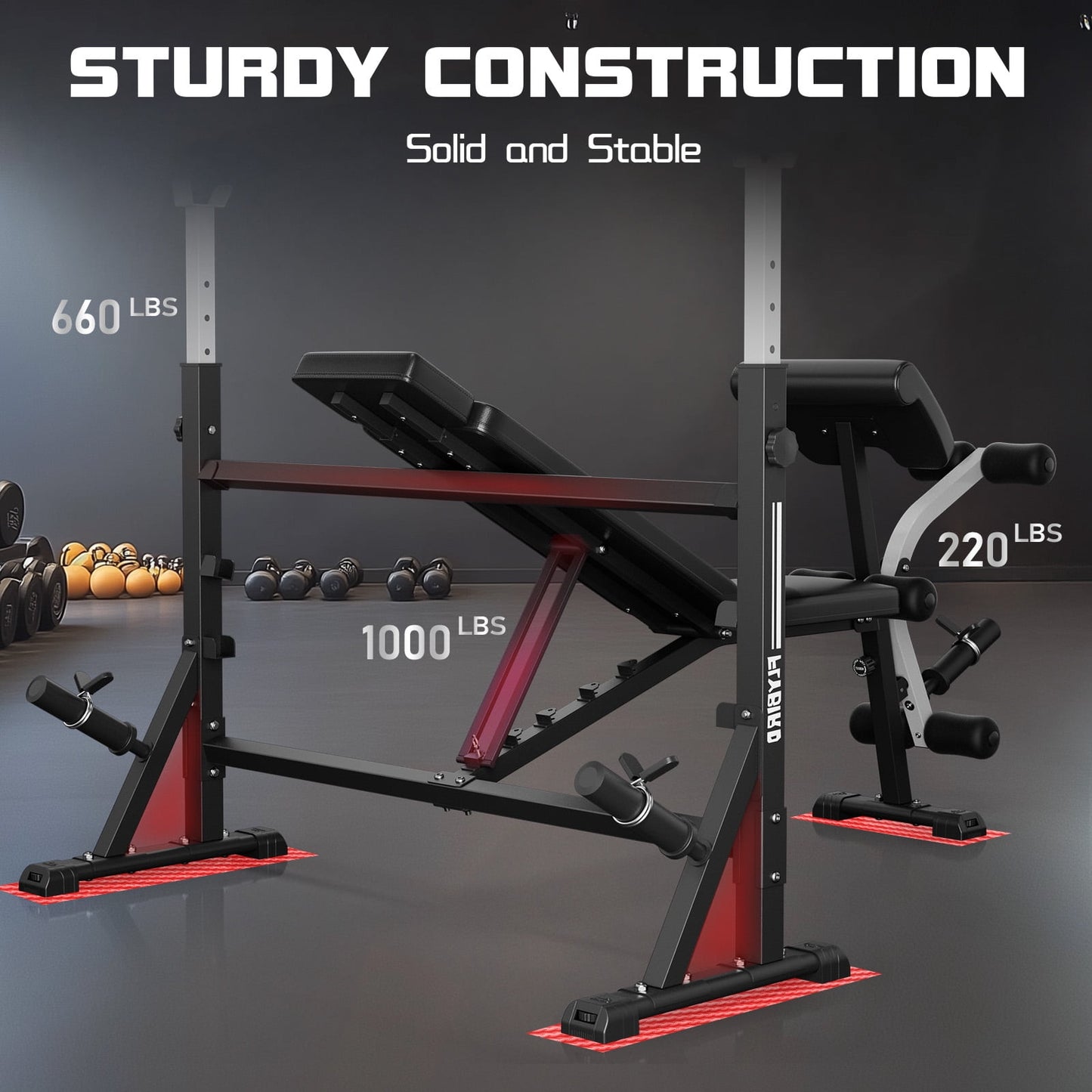 FLYBIRD Standard Weight Bench with Preacher Curl, Leg Developer