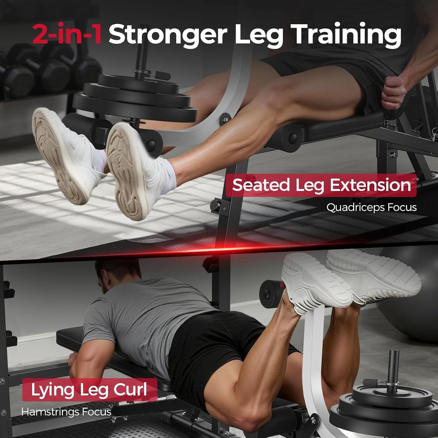 FLYBIRD Standard Weight Bench with Preacher Curl, Leg Developer