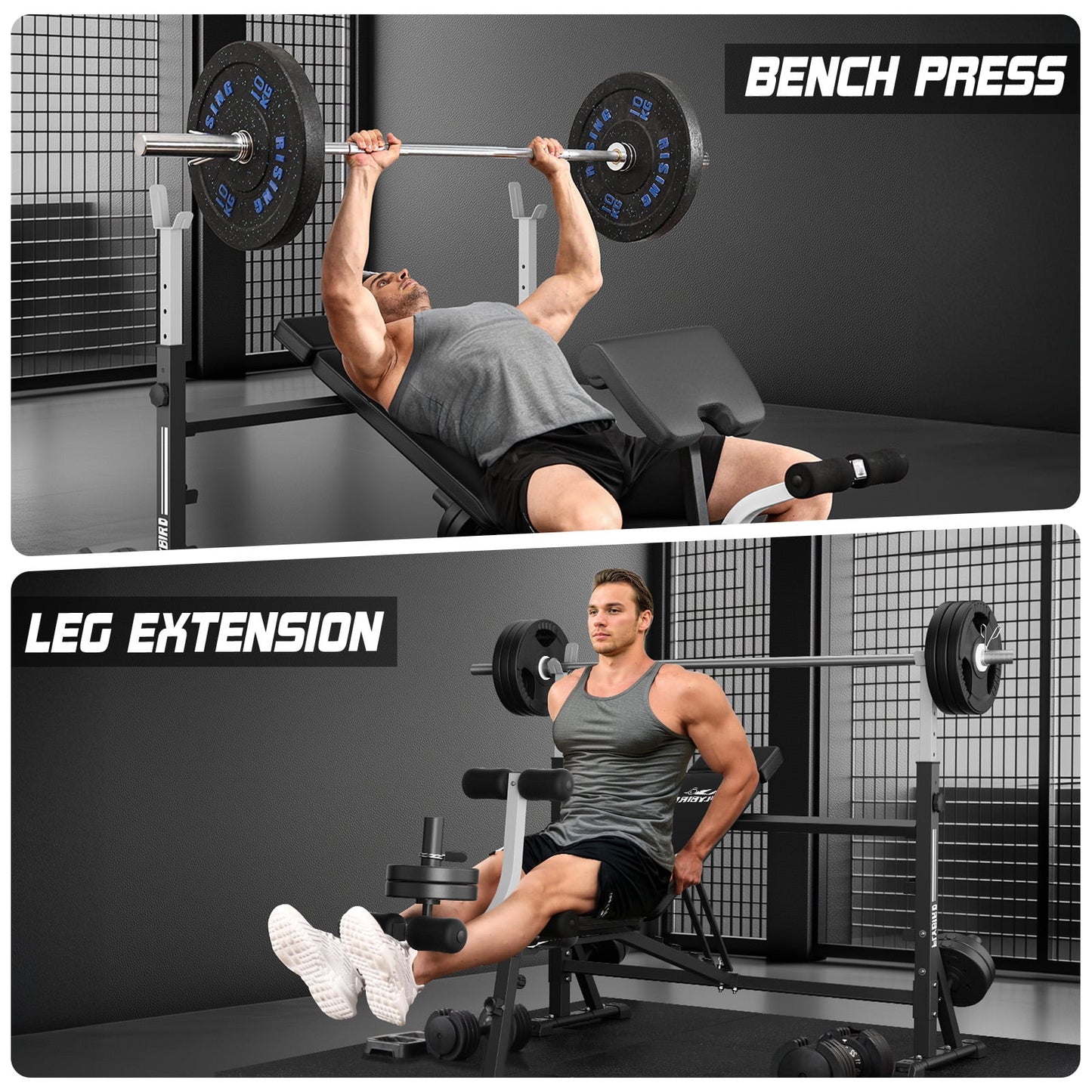 FLYBIRD Standard Weight Bench with Preacher Curl, Leg Developer