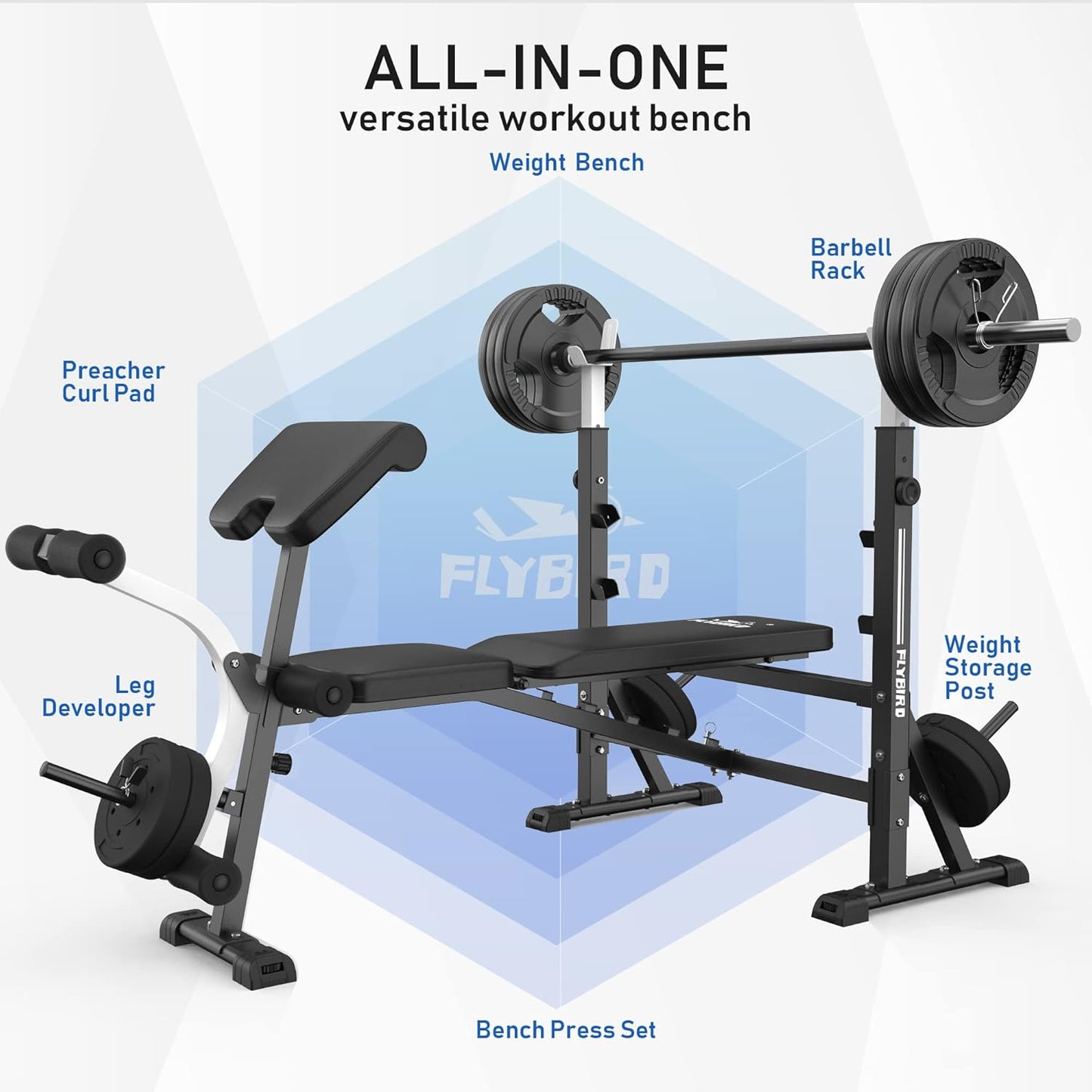 FLYBIRD Standard Weight Bench with Preacher Curl, Leg Developer