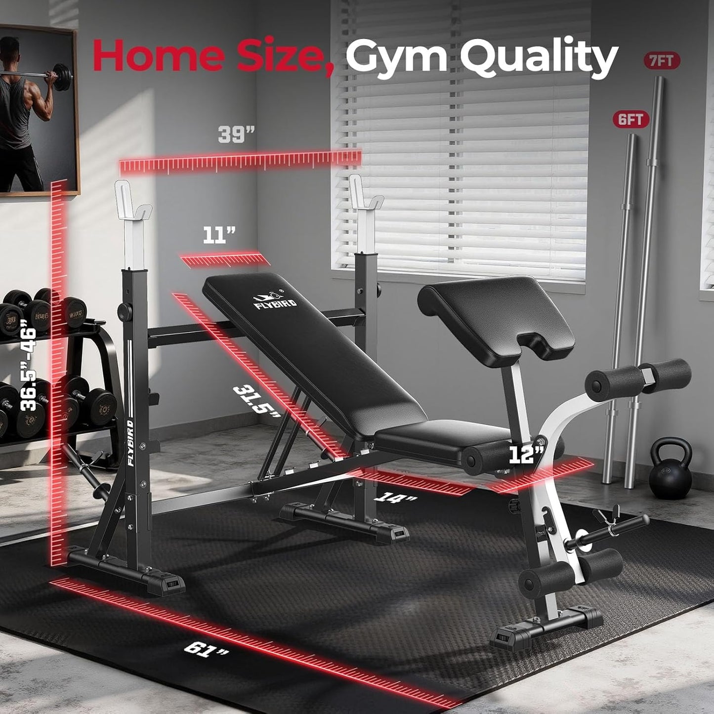 FLYBIRD Standard Weight Bench with Preacher Curl, Leg Developer