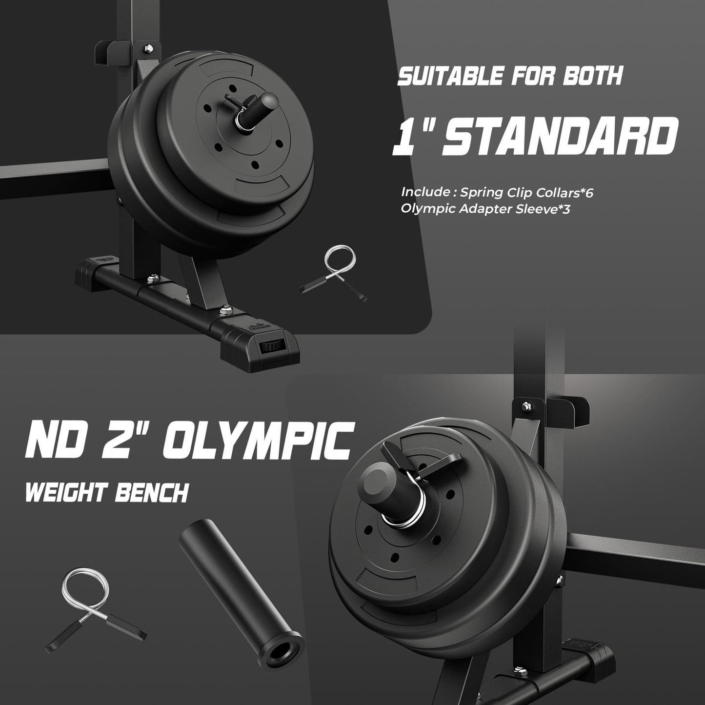 FLYBIRD Standard Weight Bench with Preacher Curl, Leg Developer