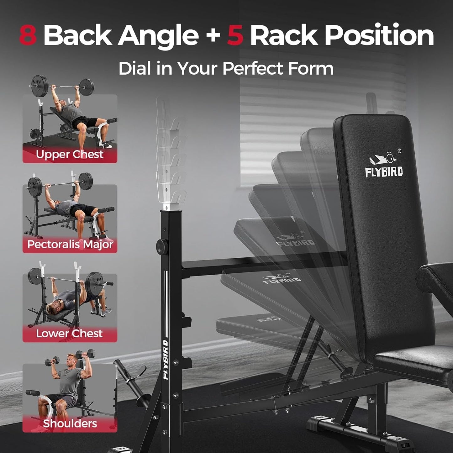 FLYBIRD Standard Weight Bench with Preacher Curl, Leg Developer