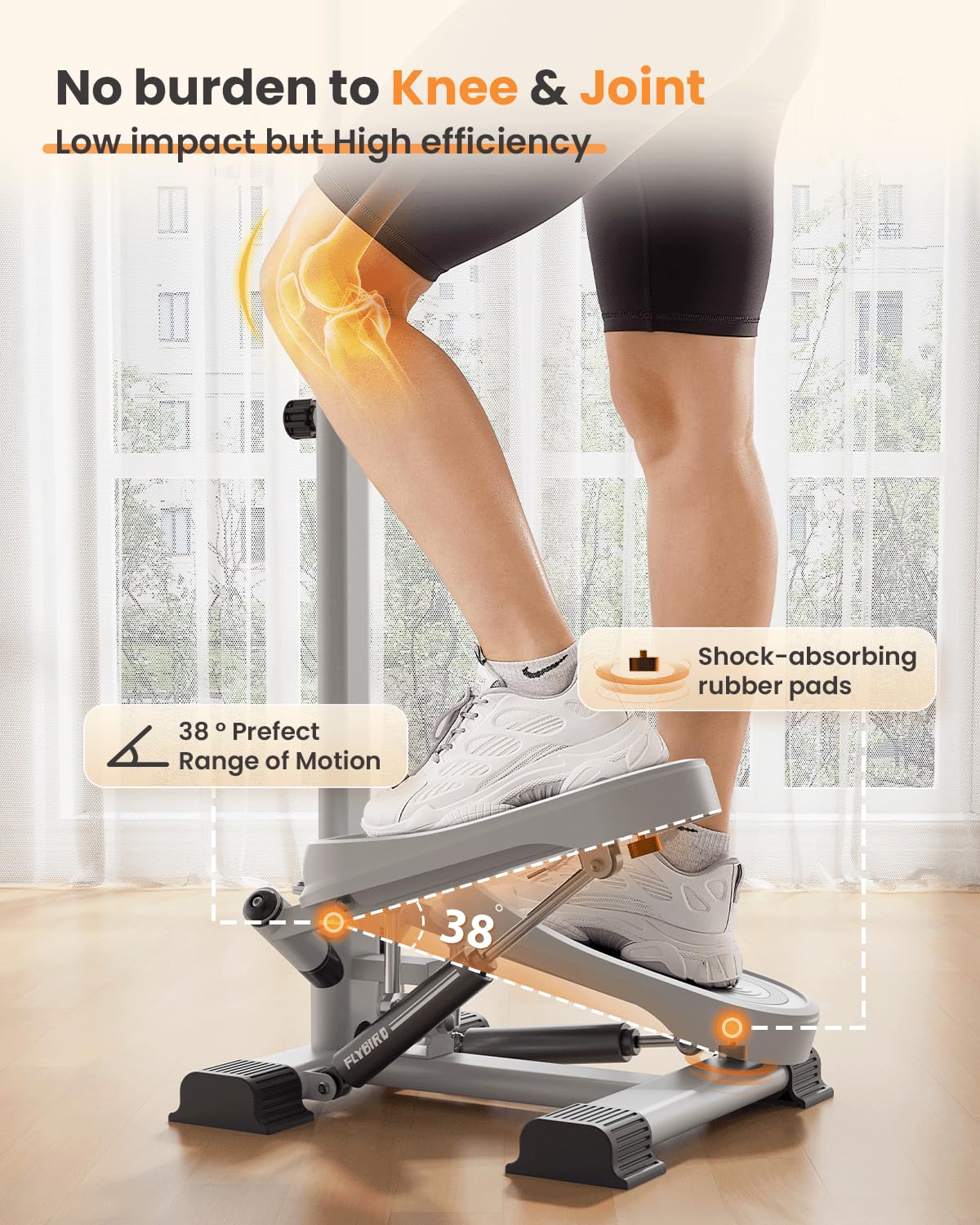 FLYBIRD Stepper with Handlebar, Twist Stair Stepper for Exercises for Leg Workout, Low-Impact Home Cardio