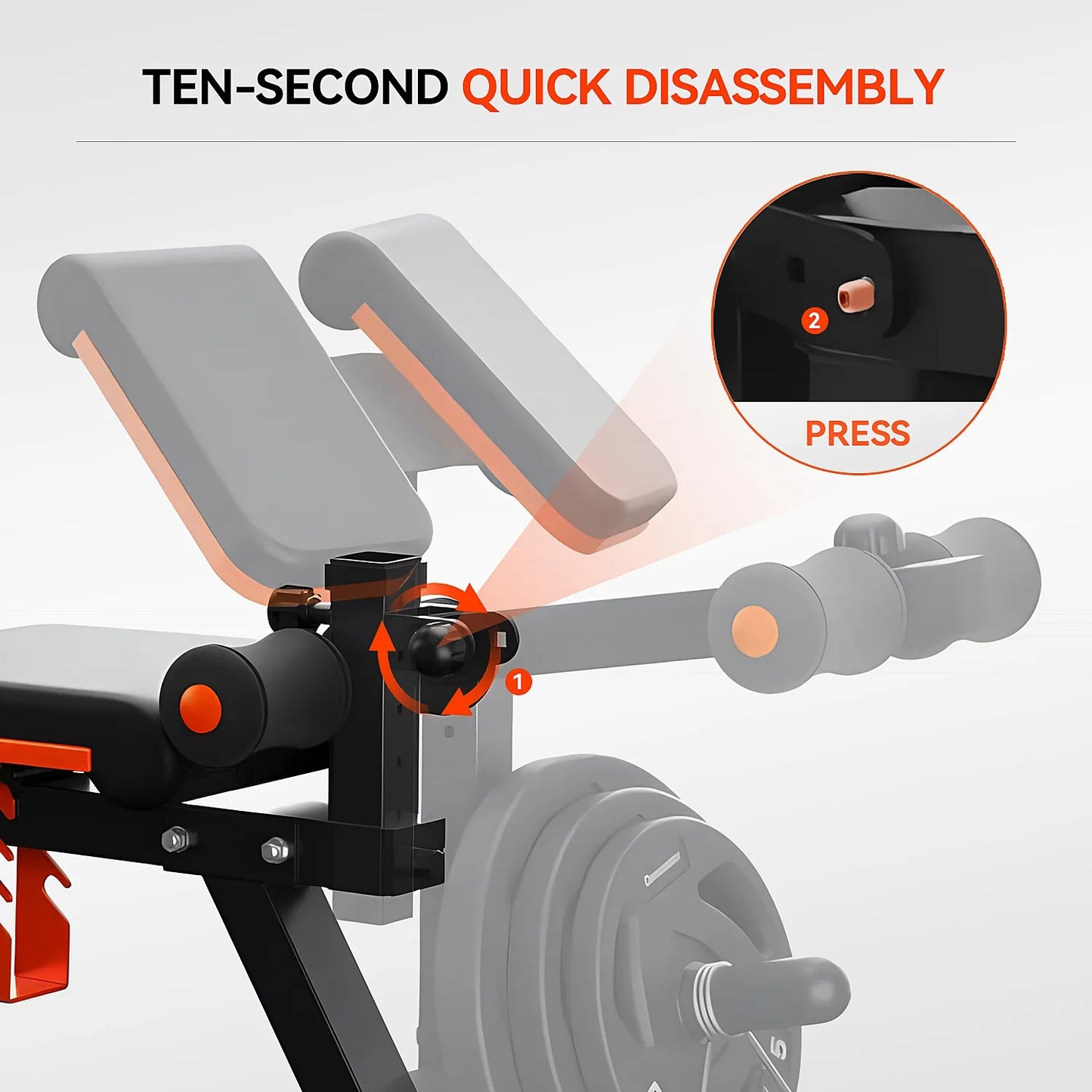 FED FITNESS Adjustable Preacher Curl & Leg Extension Bench – 6 Back Angles,4 Seat Angles,Home Gym
